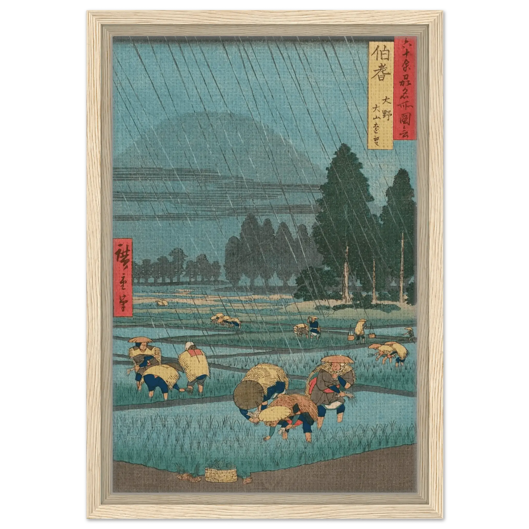 Regen über den Reisfeldern - Signature Collection - HINORI