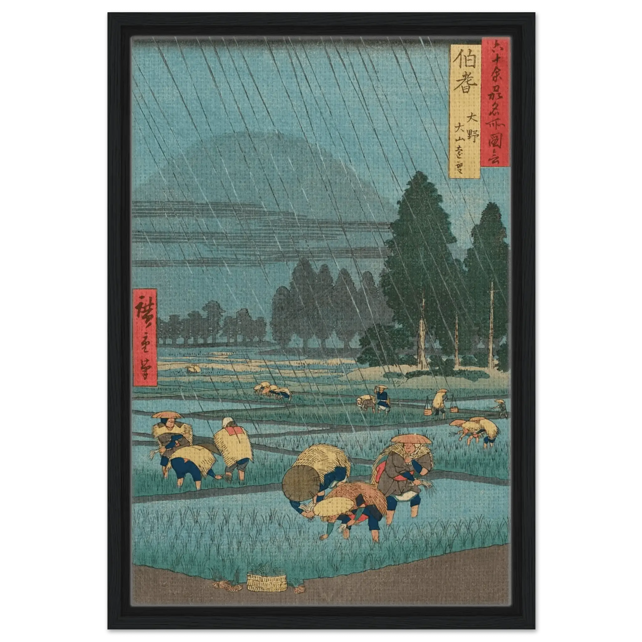 Regen über den Reisfeldern - Signature Collection - HINORI