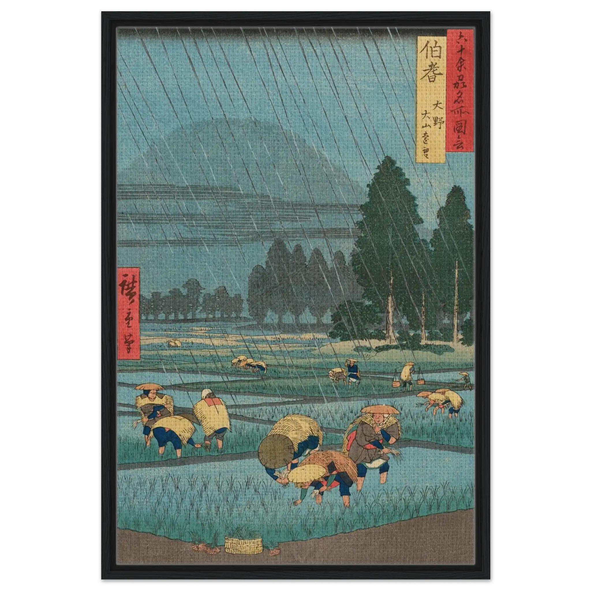 Regen über den Reisfeldern - Signature Collection - HINORI