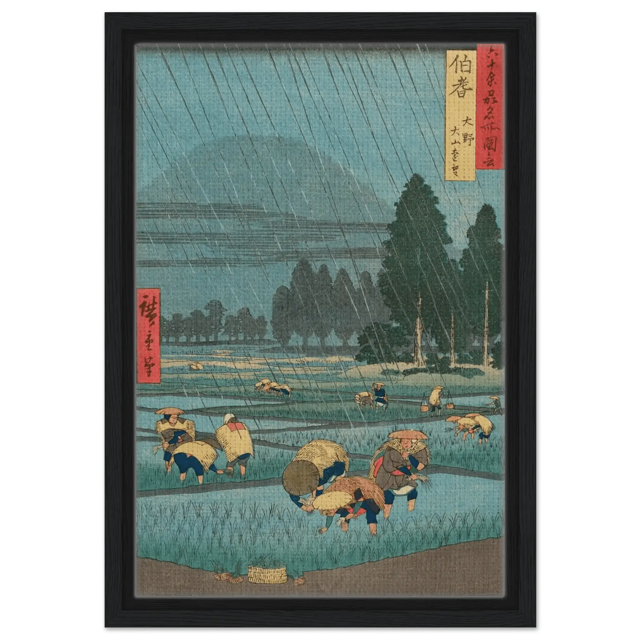 Regen über den Reisfeldern - Signature Collection - HINORI