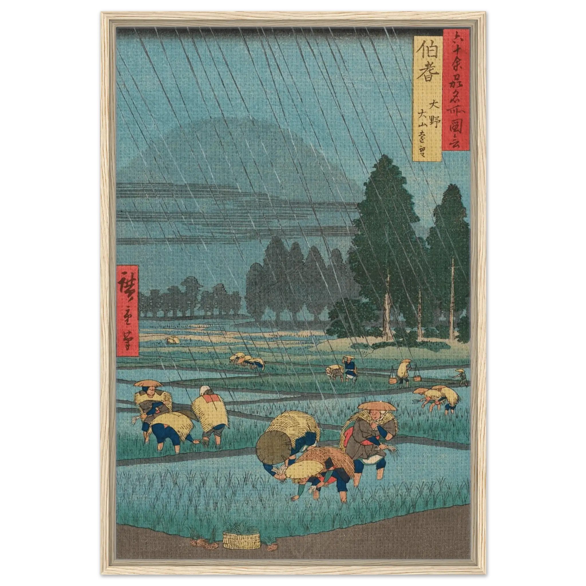 Regen über den Reisfeldern - Signature Collection - HINORI