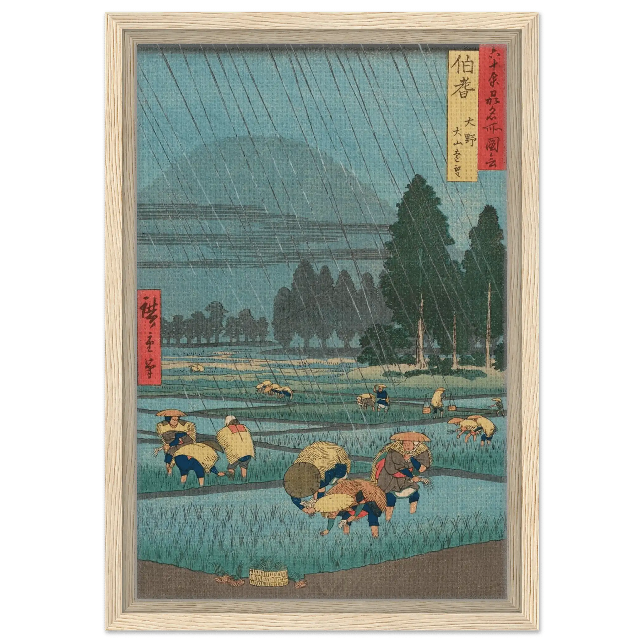 Regen über den Reisfeldern - Signature Collection - HINORI