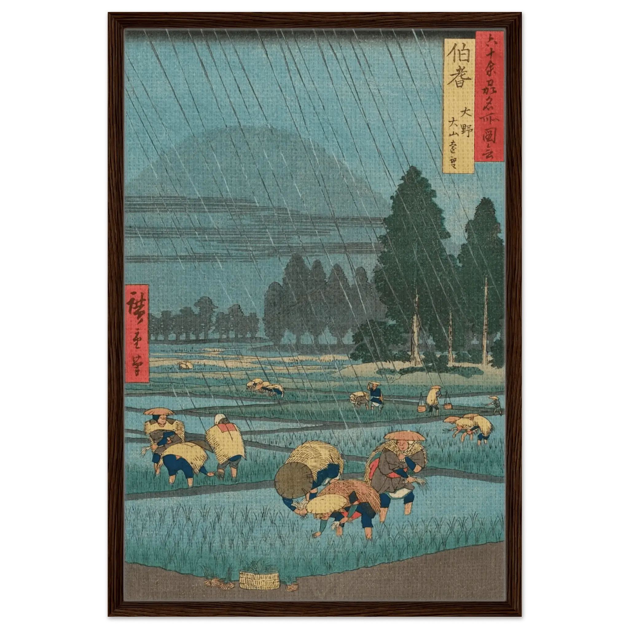 Regen über den Reisfeldern - Signature Collection - HINORI