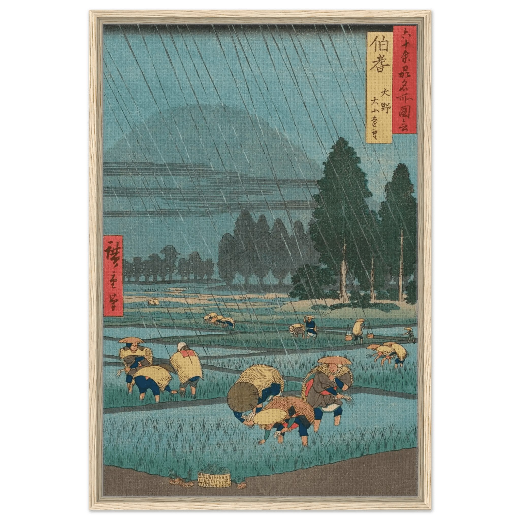 Regen über den Reisfeldern - Signature Collection - HINORI