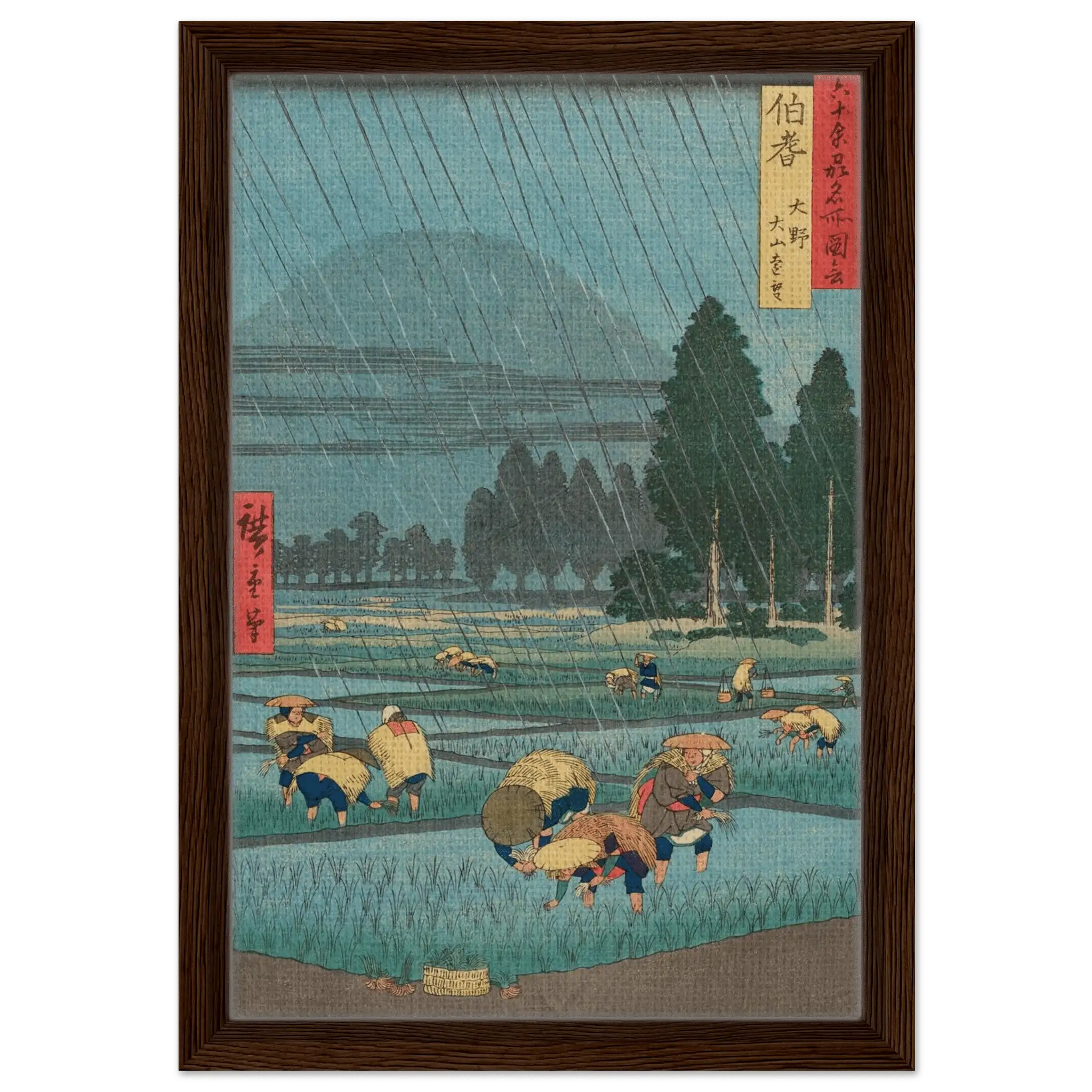 Regen über den Reisfeldern - Signature Collection - HINORI