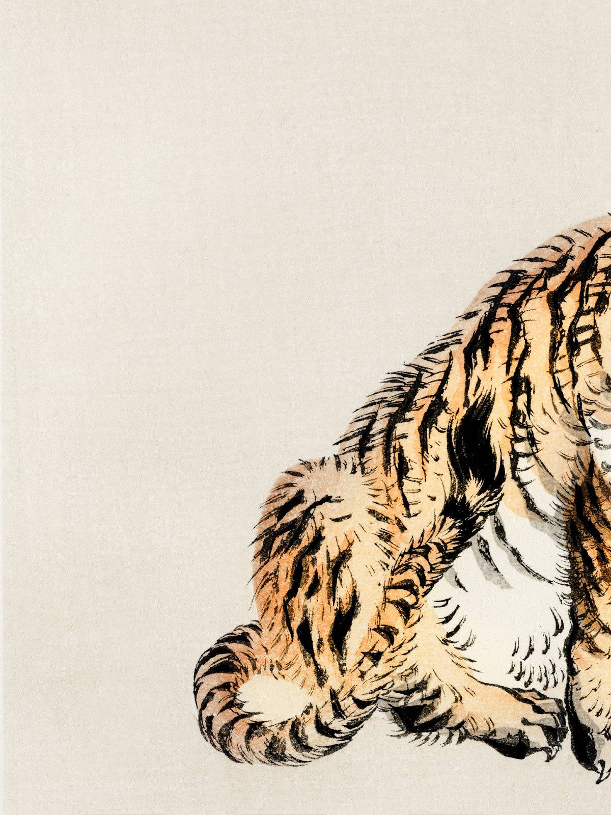 Der Tiger - Signature Collection