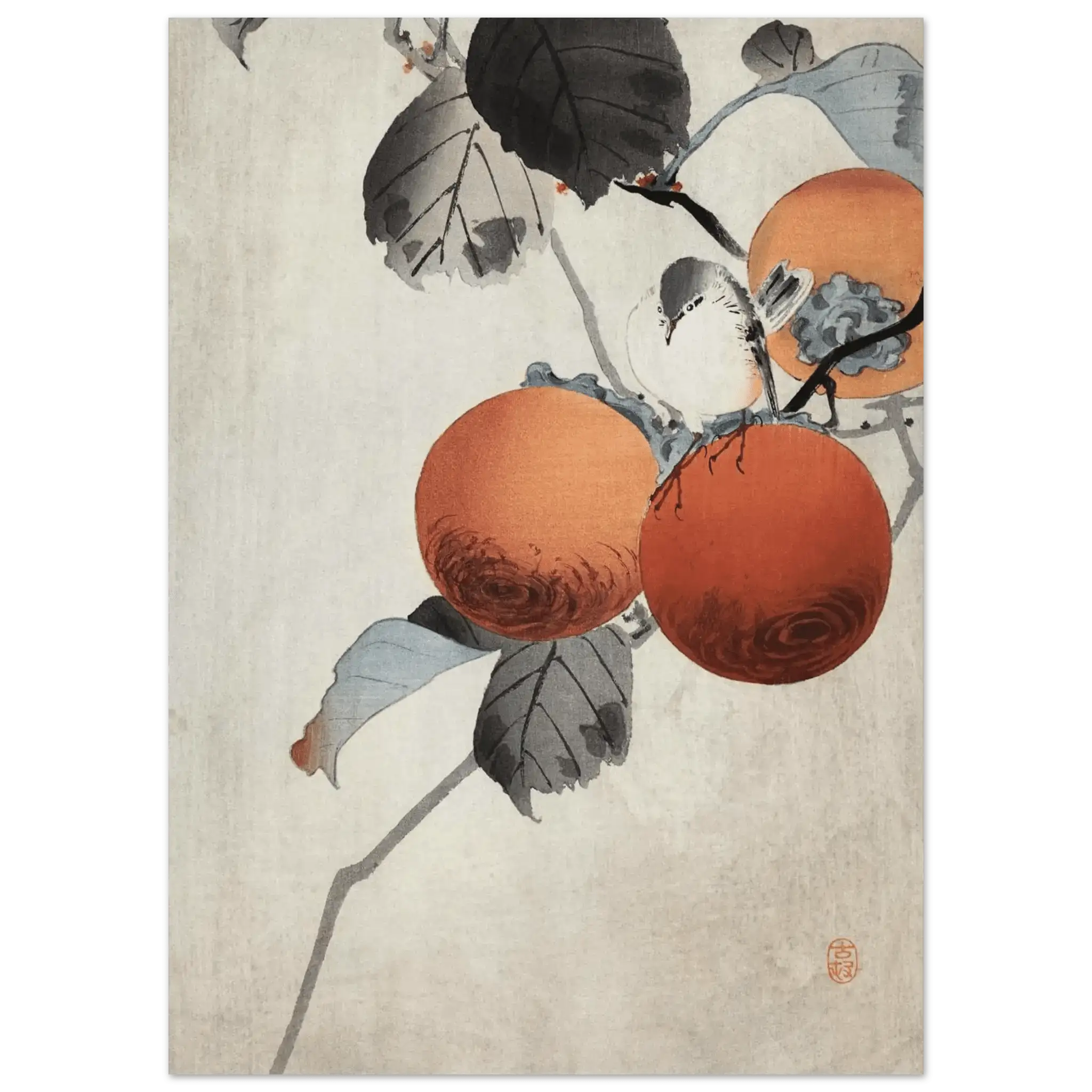 Vogel auf Kaki - Zweigen - Fine Art Prints - HINORI