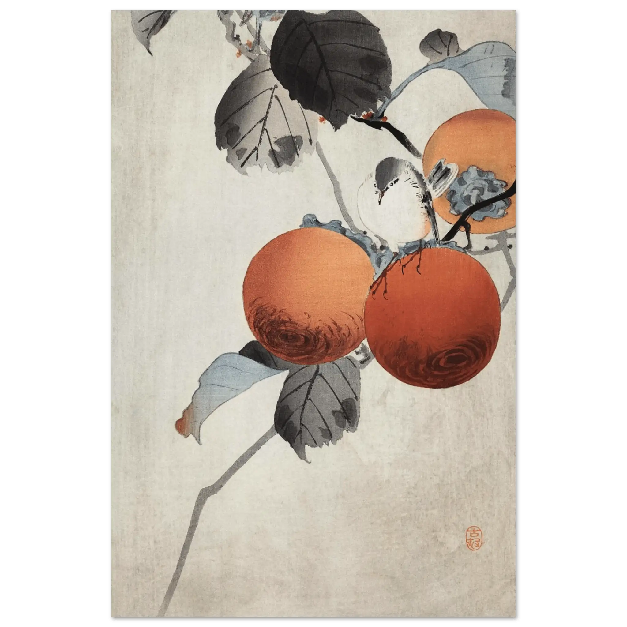 Vogel auf Kaki - Zweigen - Fine Art Prints - HINORI