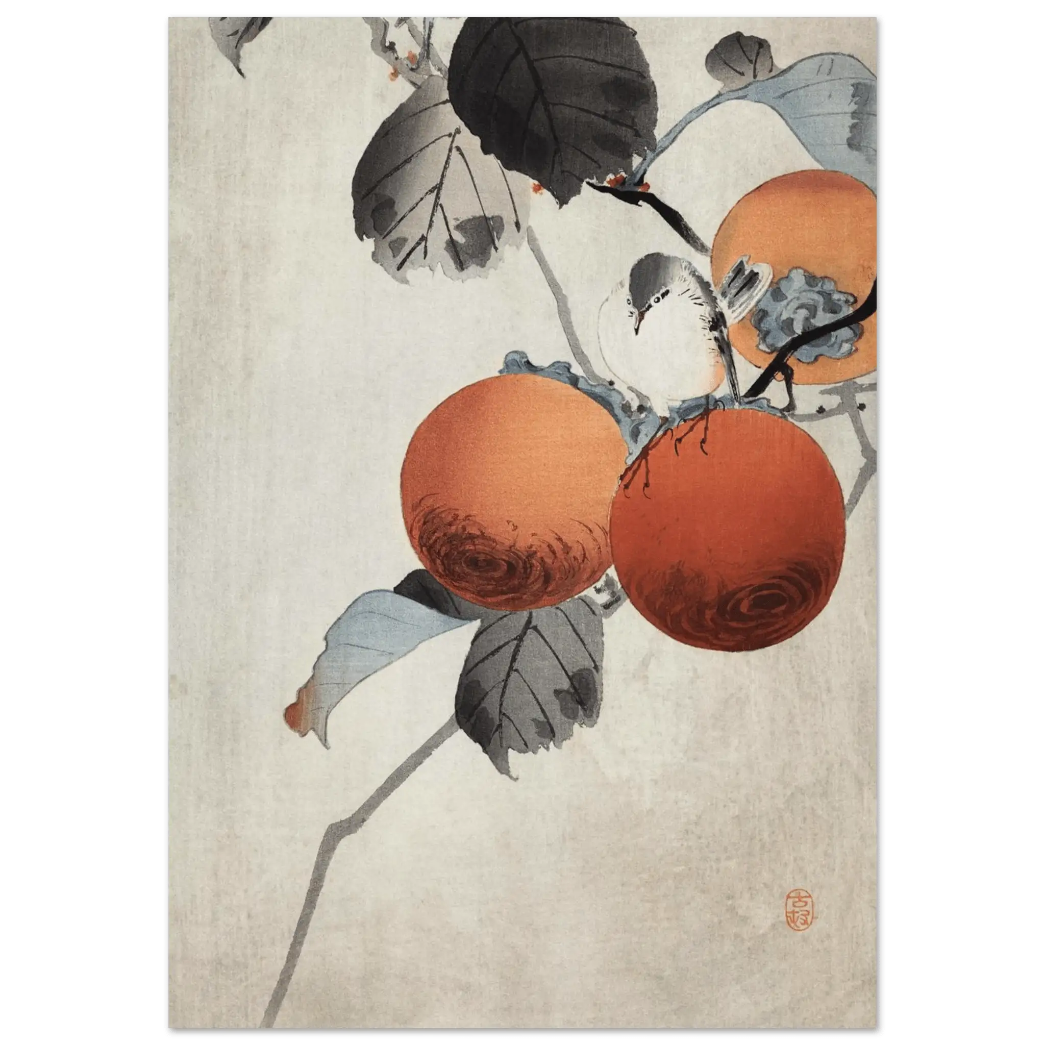Vogel auf Kaki - Zweigen - Fine Art Prints - HINORI