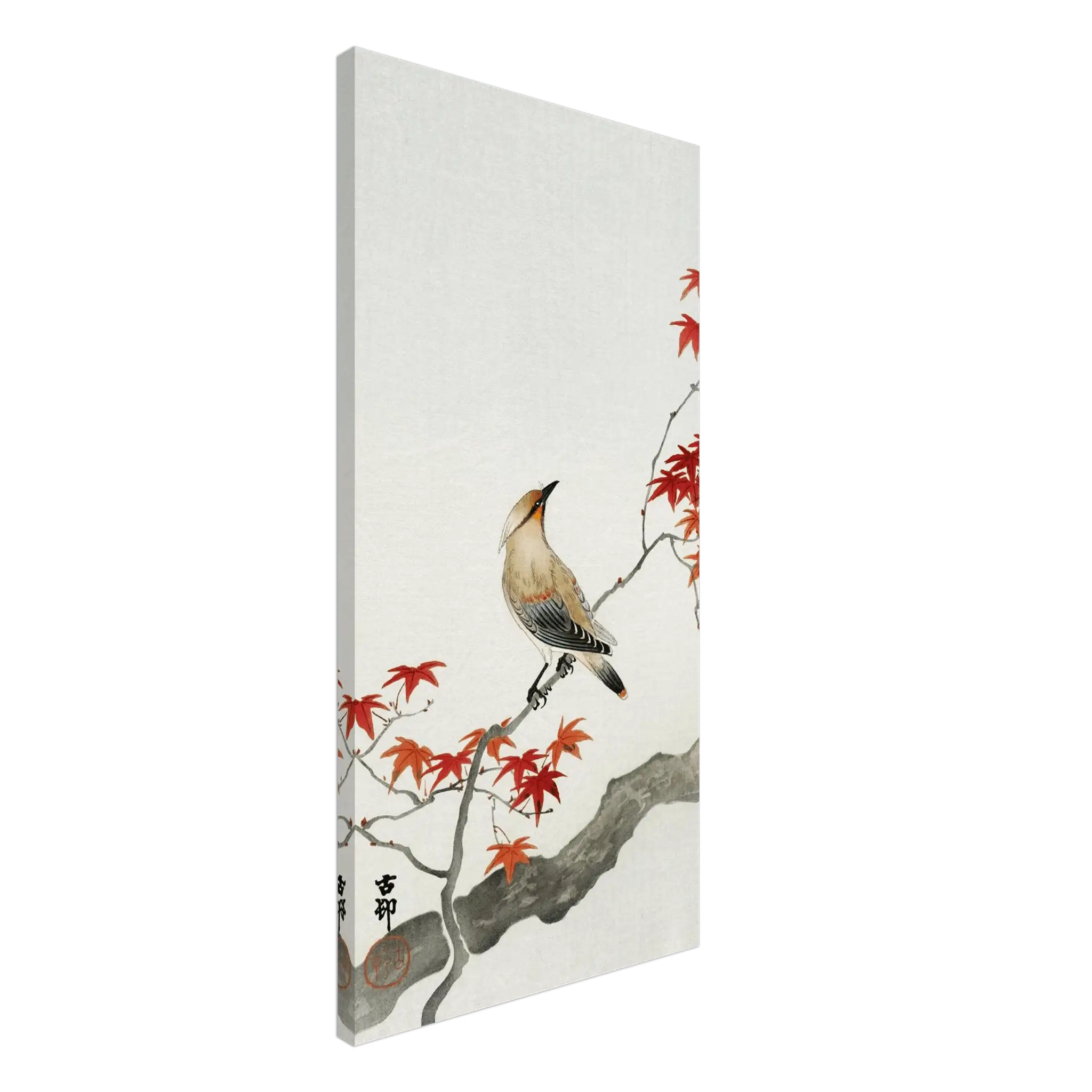Vogel auf rotem Ahornzweig - Leinwand Edition - HINORI