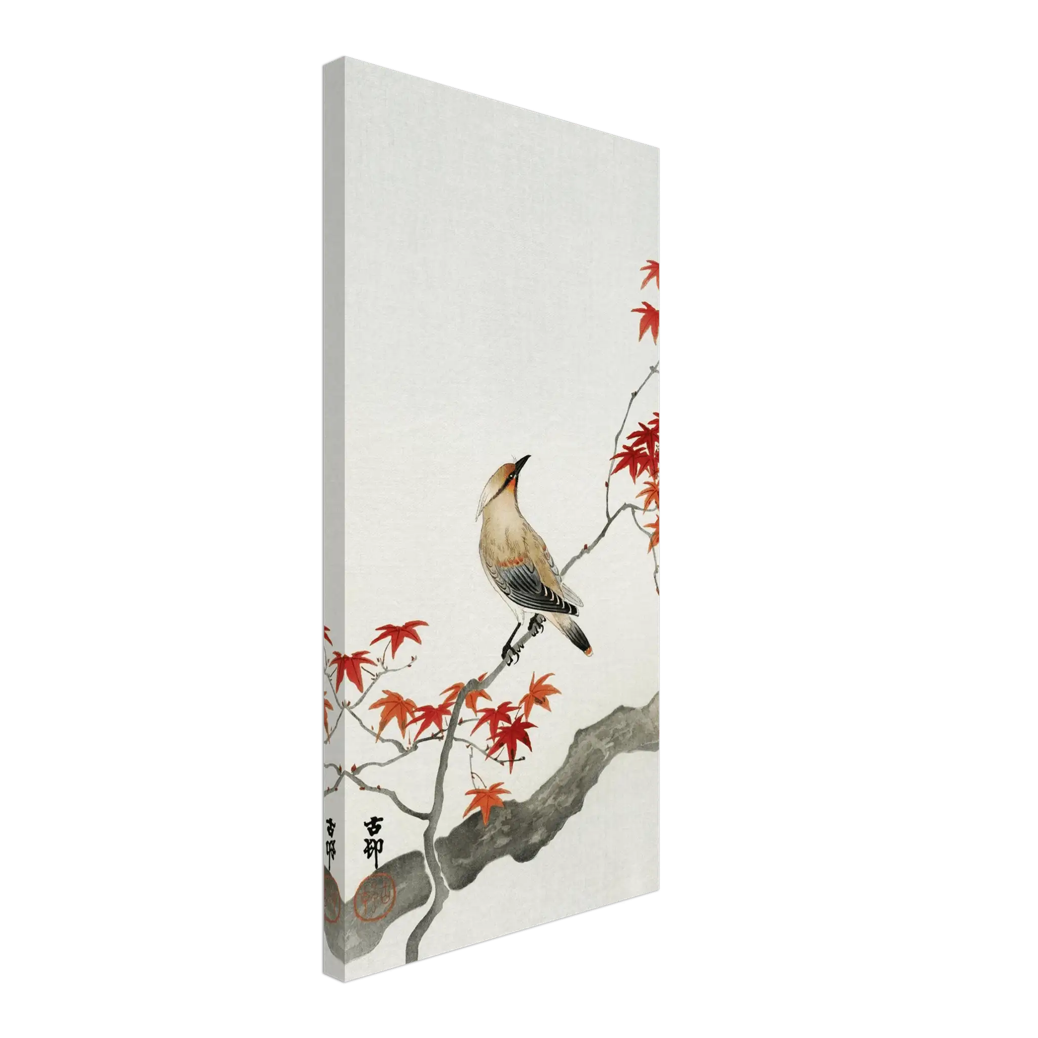 Vogel auf rotem Ahornzweig - Leinwand Edition - HINORI