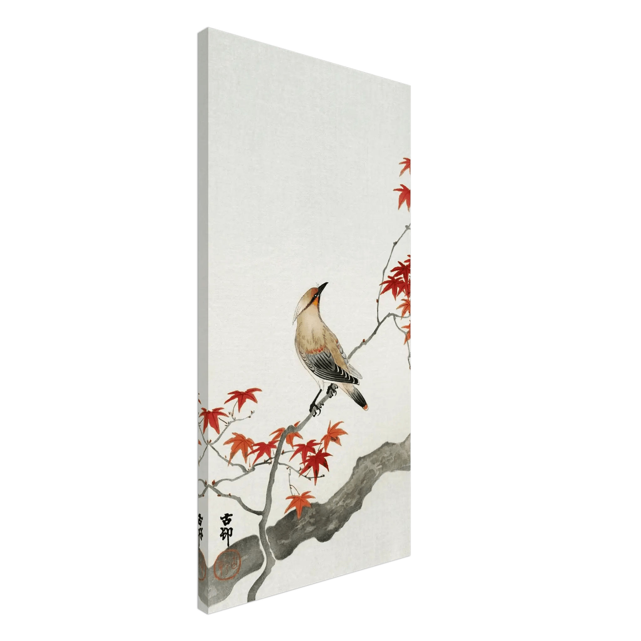 Vogel auf rotem Ahornzweig - Leinwand Edition - HINORI