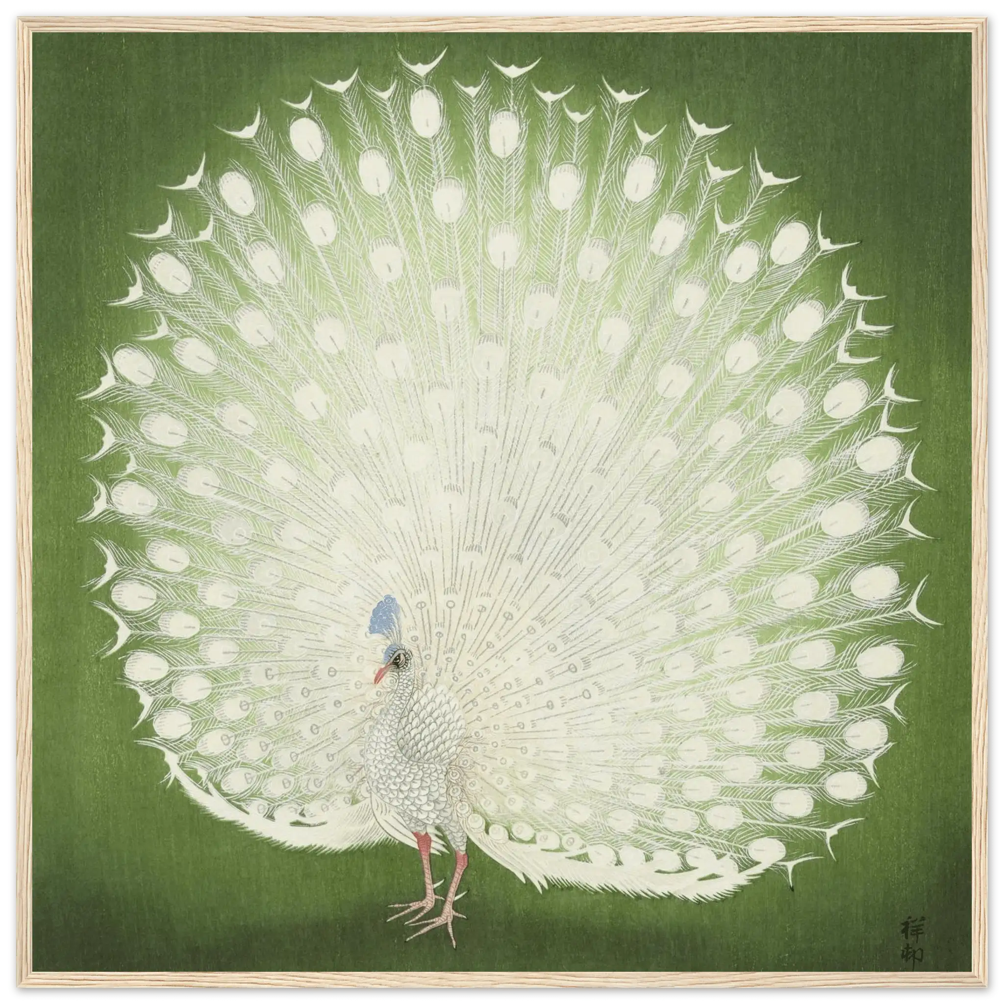 Weißer Pfau - Gerahmte Eleganz - HINORI