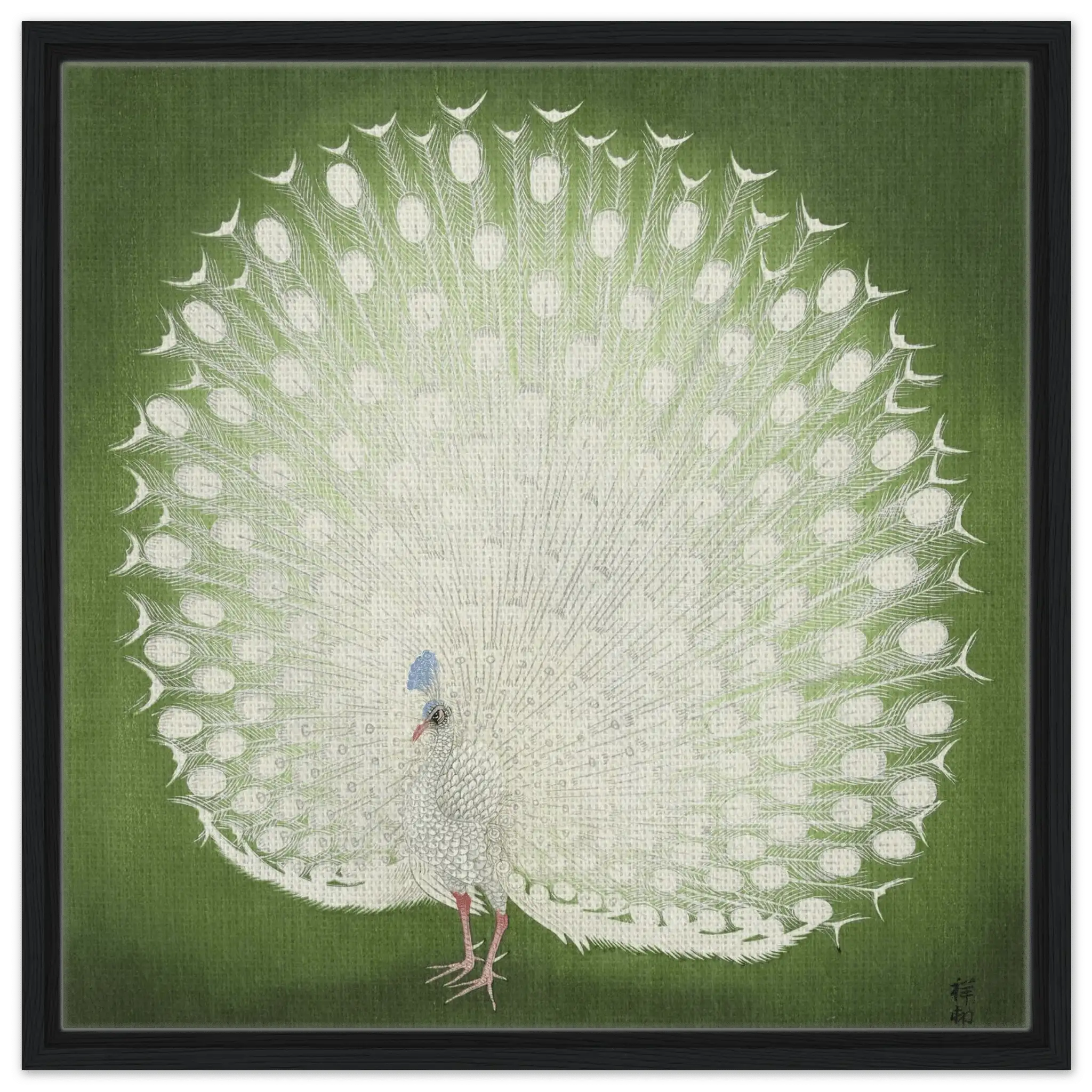 Weißer Pfau - Signature Collection - HINORI