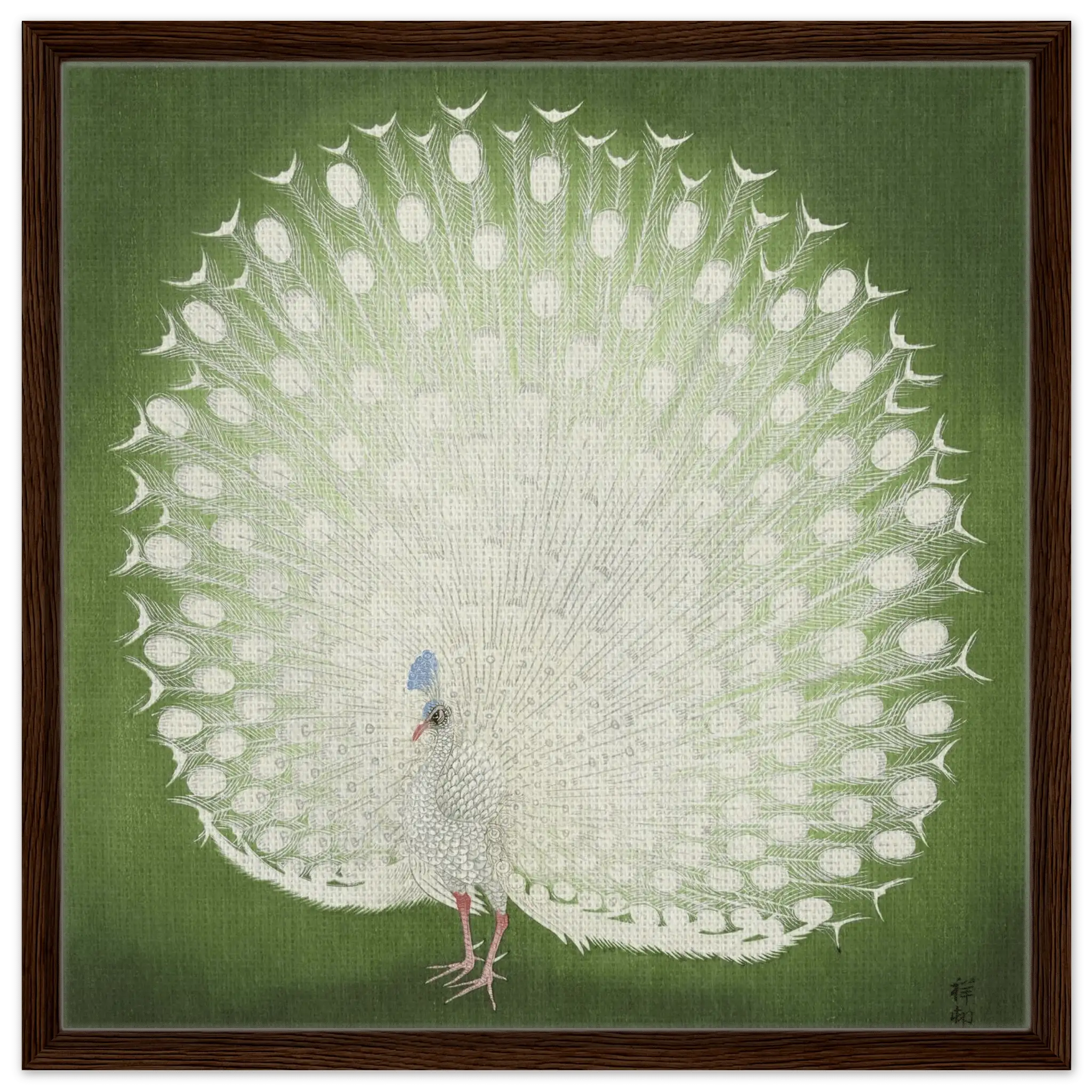 Weißer Pfau - Signature Collection - HINORI