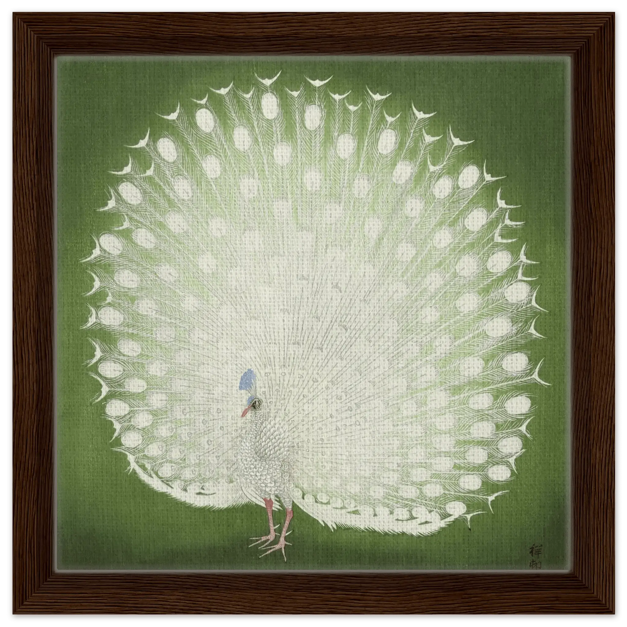 Weißer Pfau - Signature Collection - HINORI